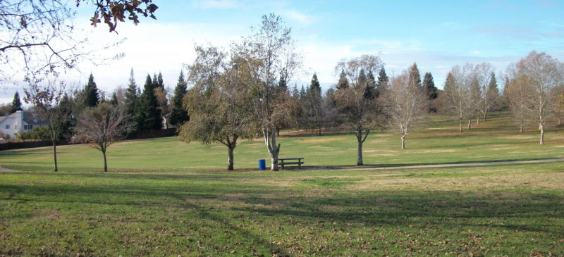 Orangevale’s Almond Park: Beauty of Nature and the Joy of Family Time