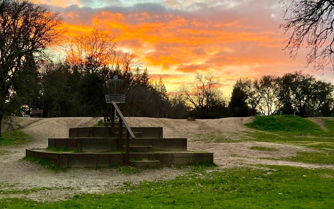 Discovering Shady Oaks Disc Golf Course: The Ultimate Disc Golf Experience