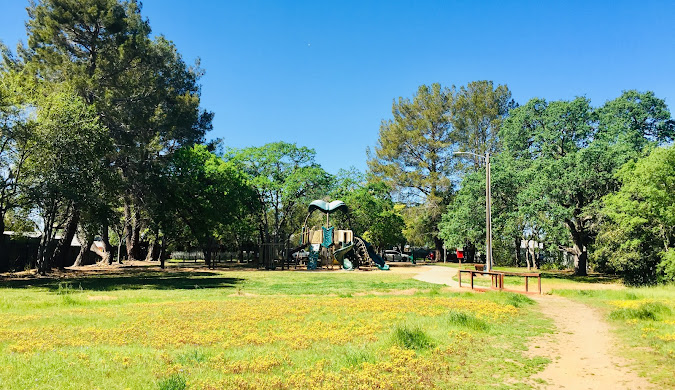 Exploring Norma Hamlin Park: A Guide to Picnics, Playtime, and Peaceful Moments in Orangevale, CA