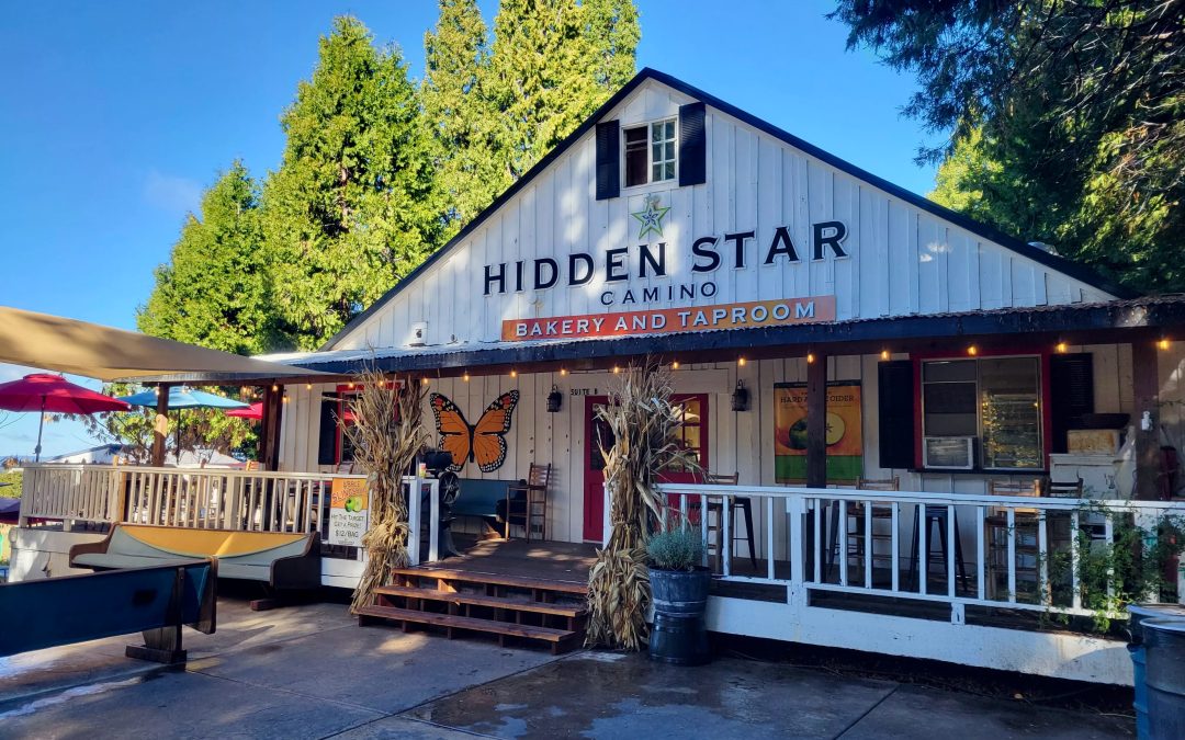 24 Ciders on Tap: Discover Hidden Star Orchards in Camino